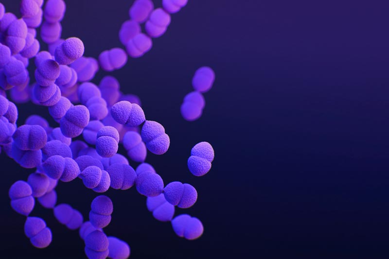 Under the microscope view